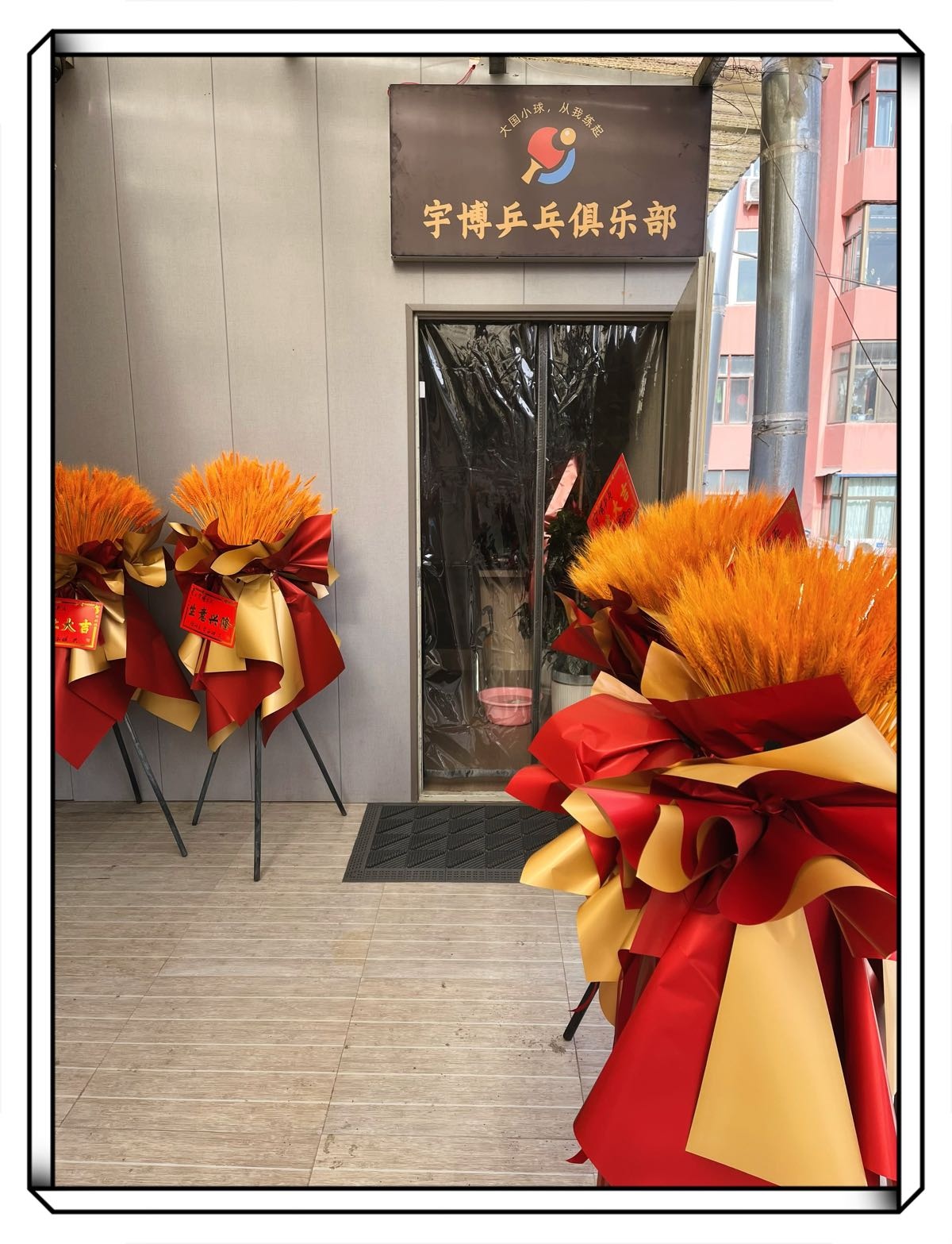 宇博乒乓俱乐部