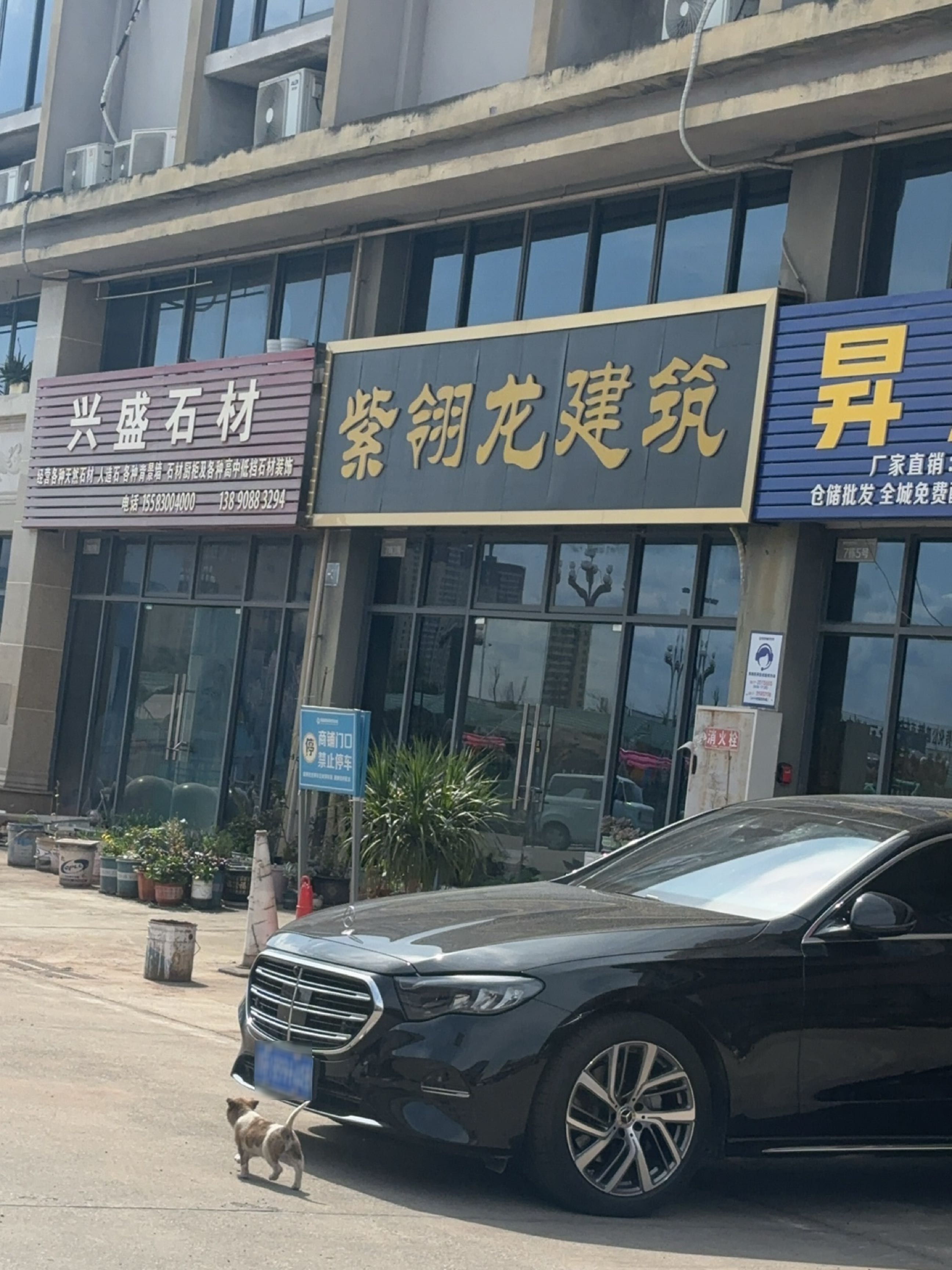 紫翎龙建筑