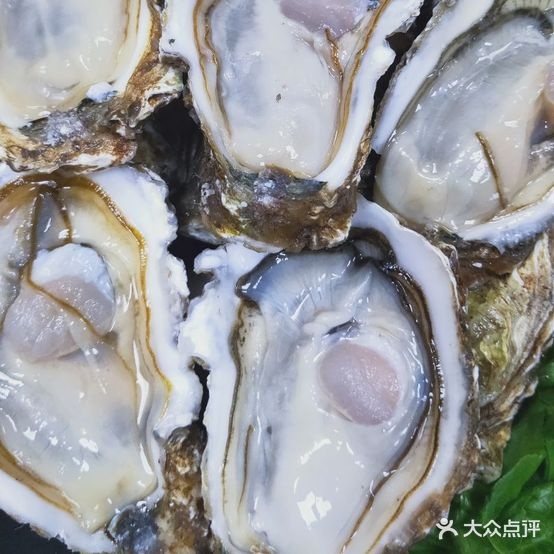 味佳鲜生蚝煲鸡