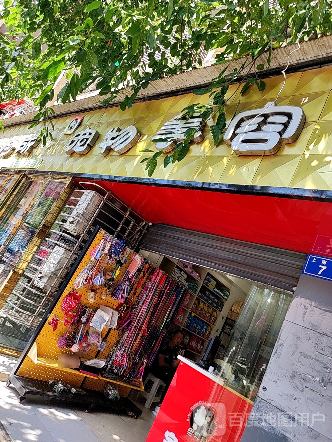 宠物美容