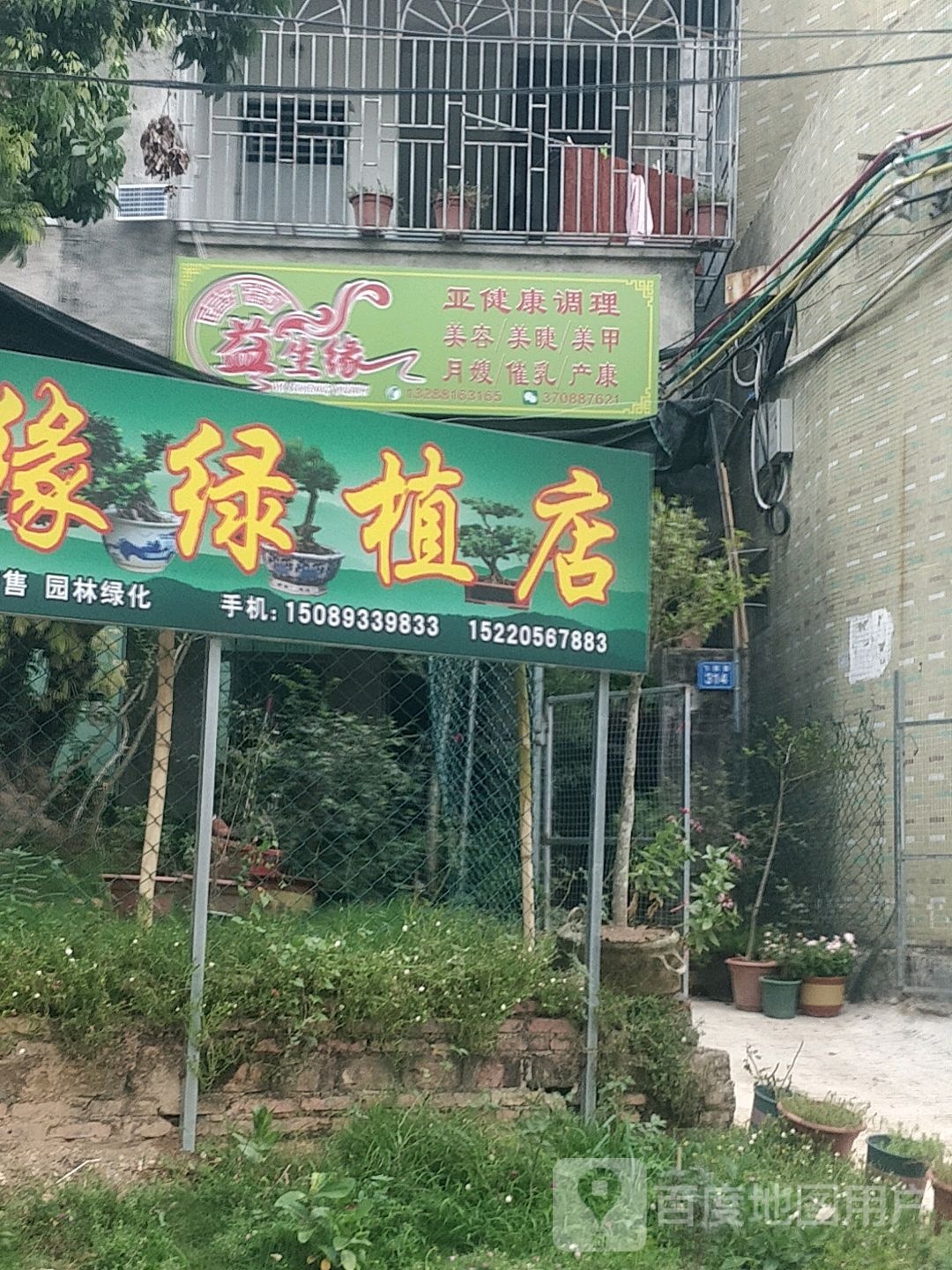 宥缘绿植花仙海