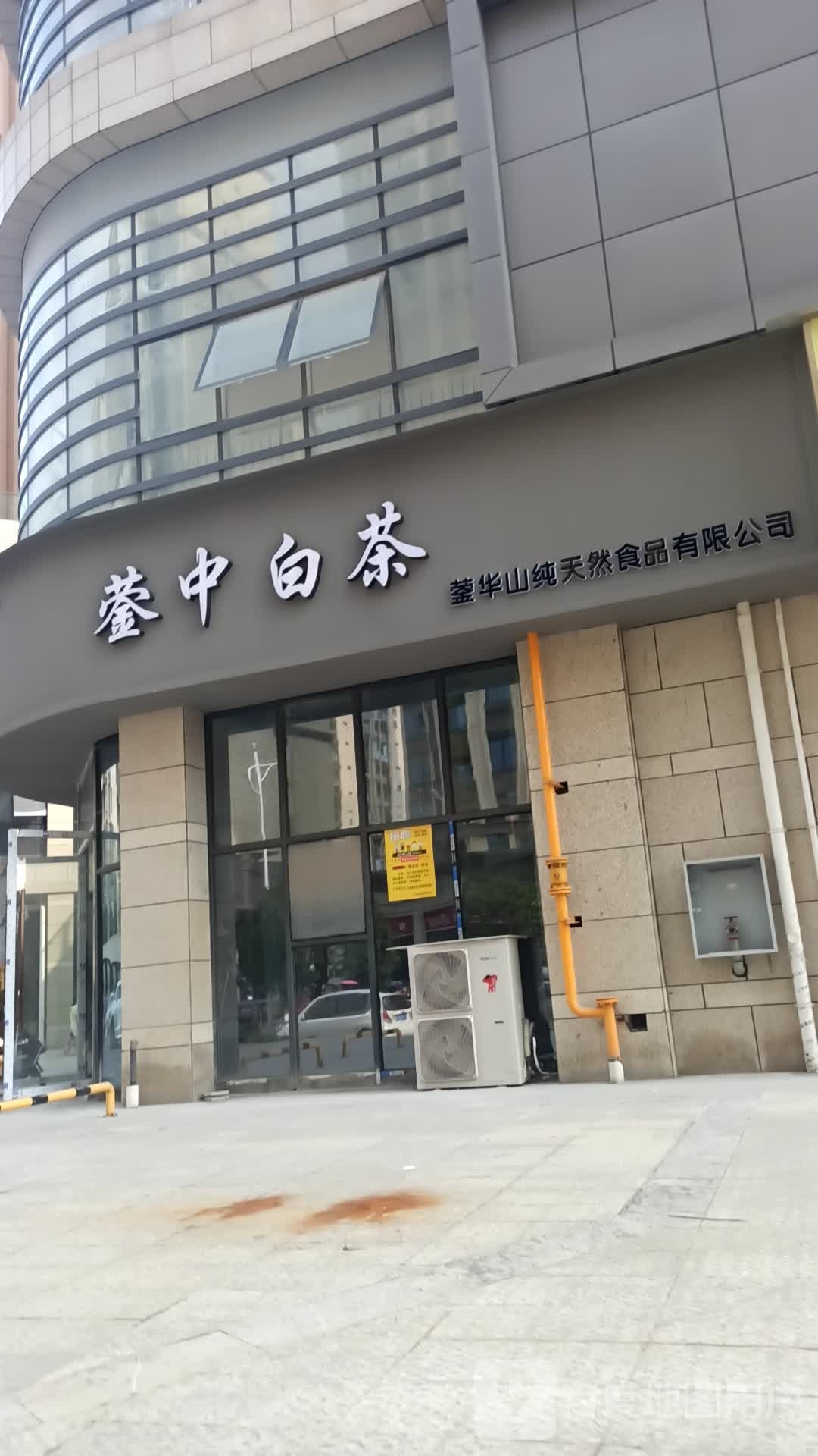 蓥中白茶