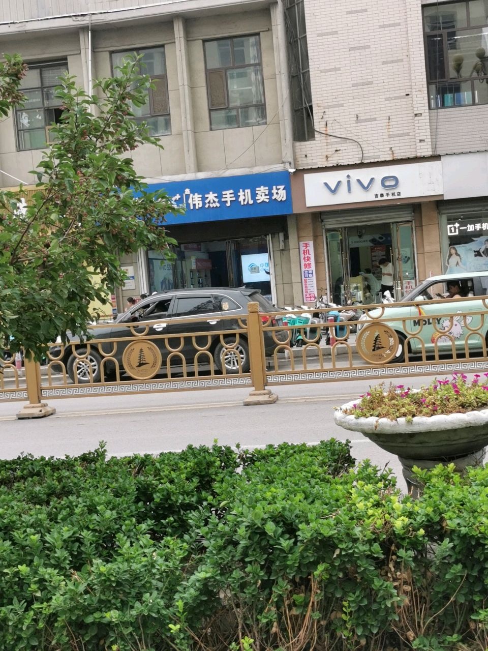 vivo(箕城东街店)