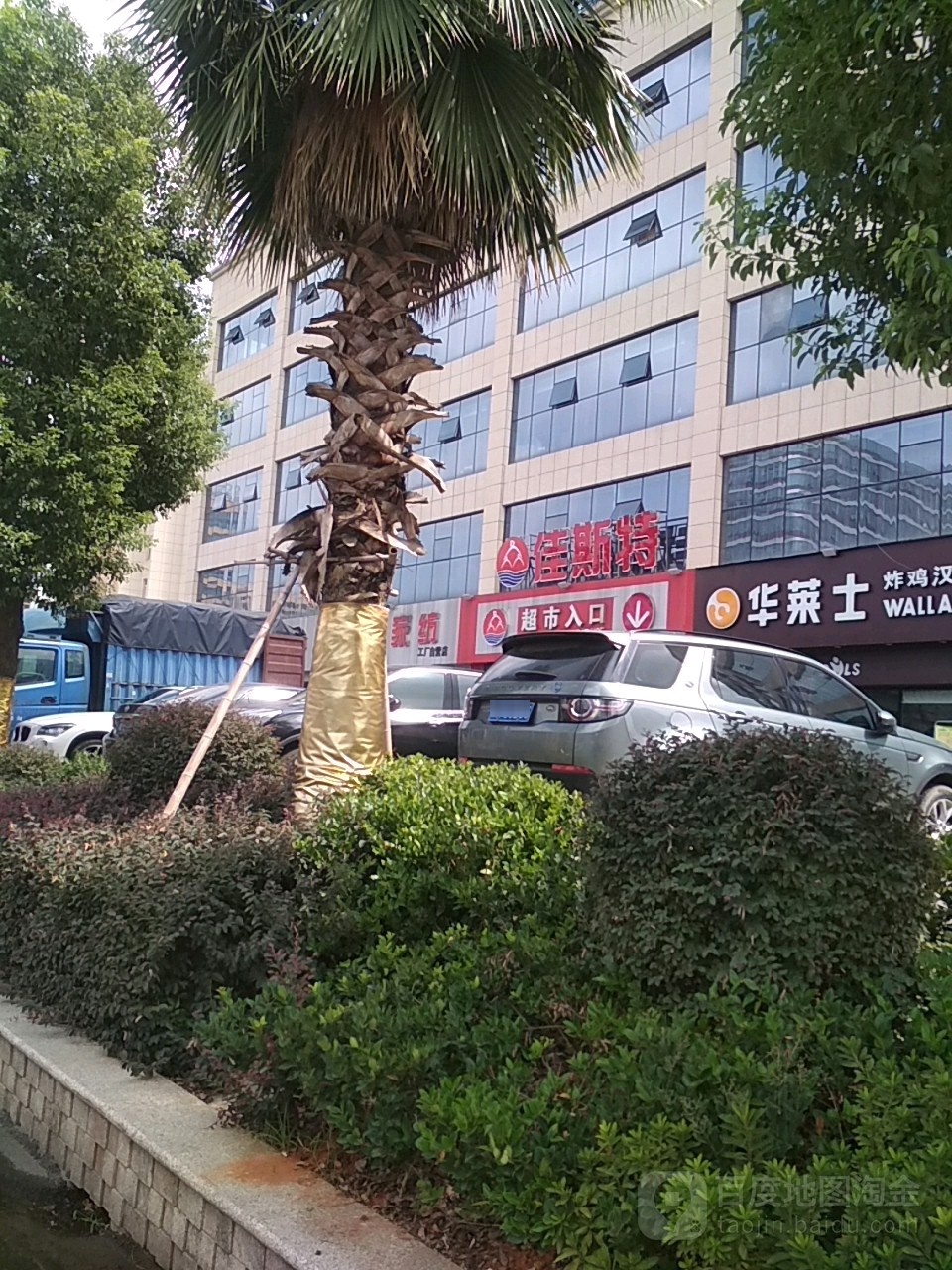 佳斯特
