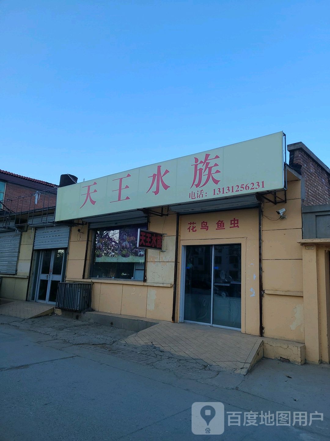 天王水族