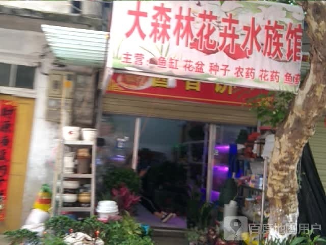 大森林公卉水族馆