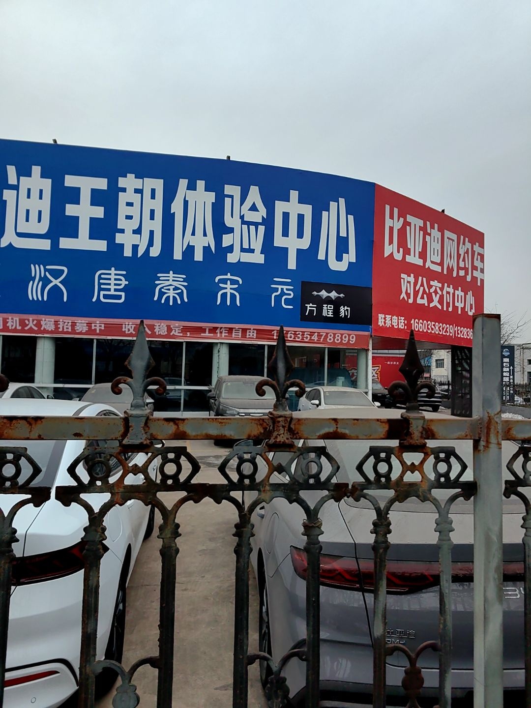 比亚迪启明星店(吕梁比德福店)