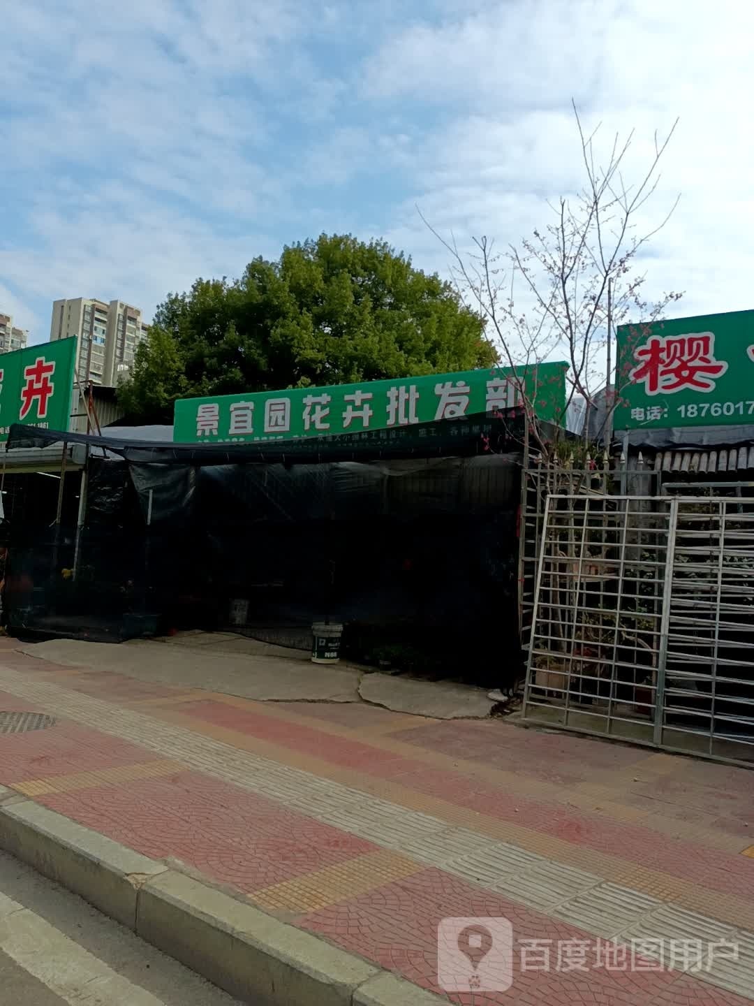 宜景园花卉