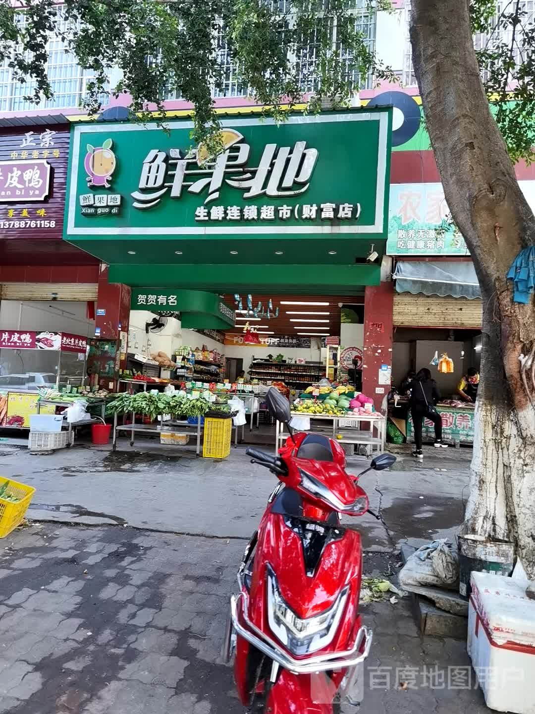 鲜果地生鲜连锁超市(财富店)