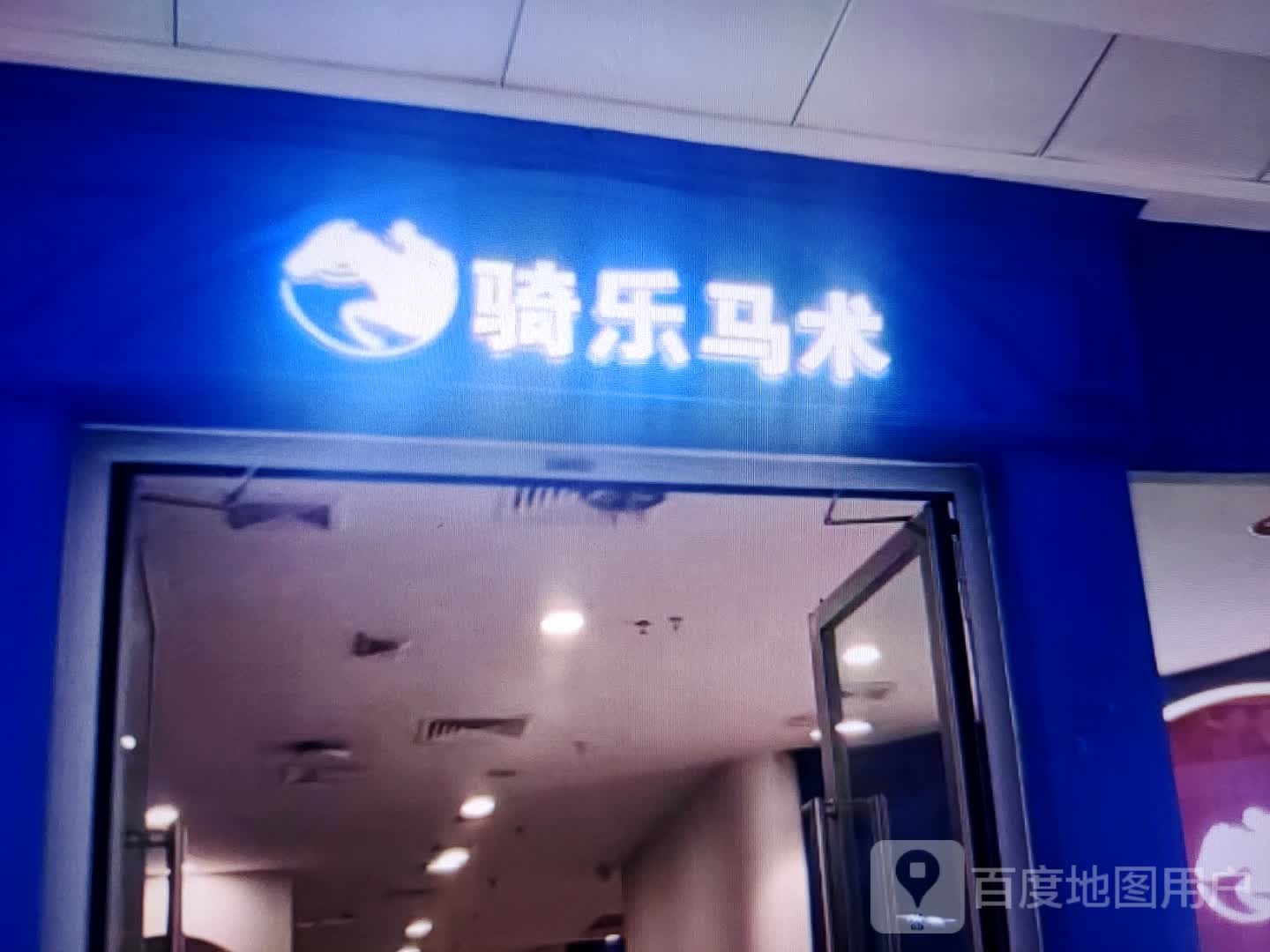骑乐马术