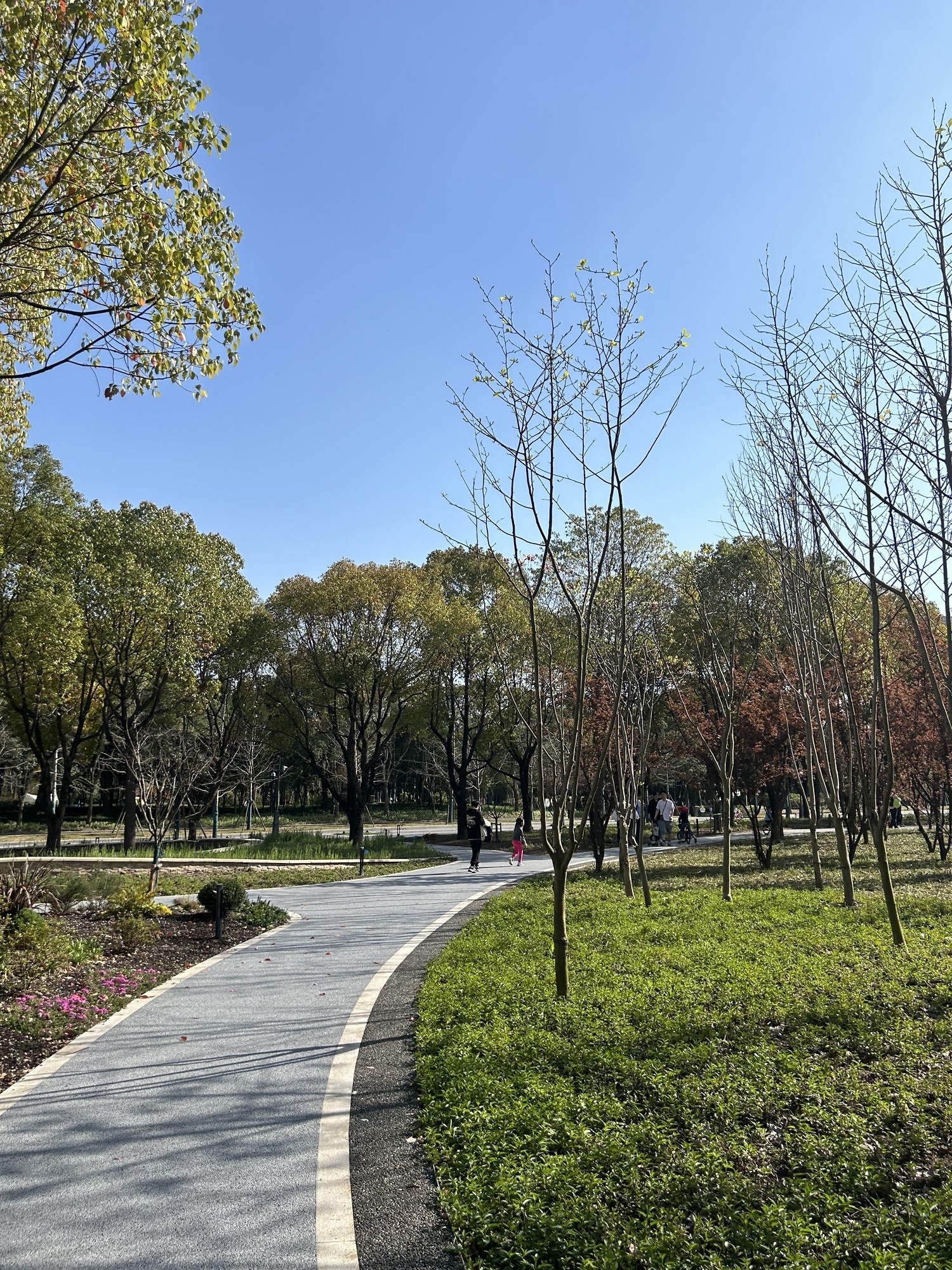 徐汇区西岸自然艺术公园