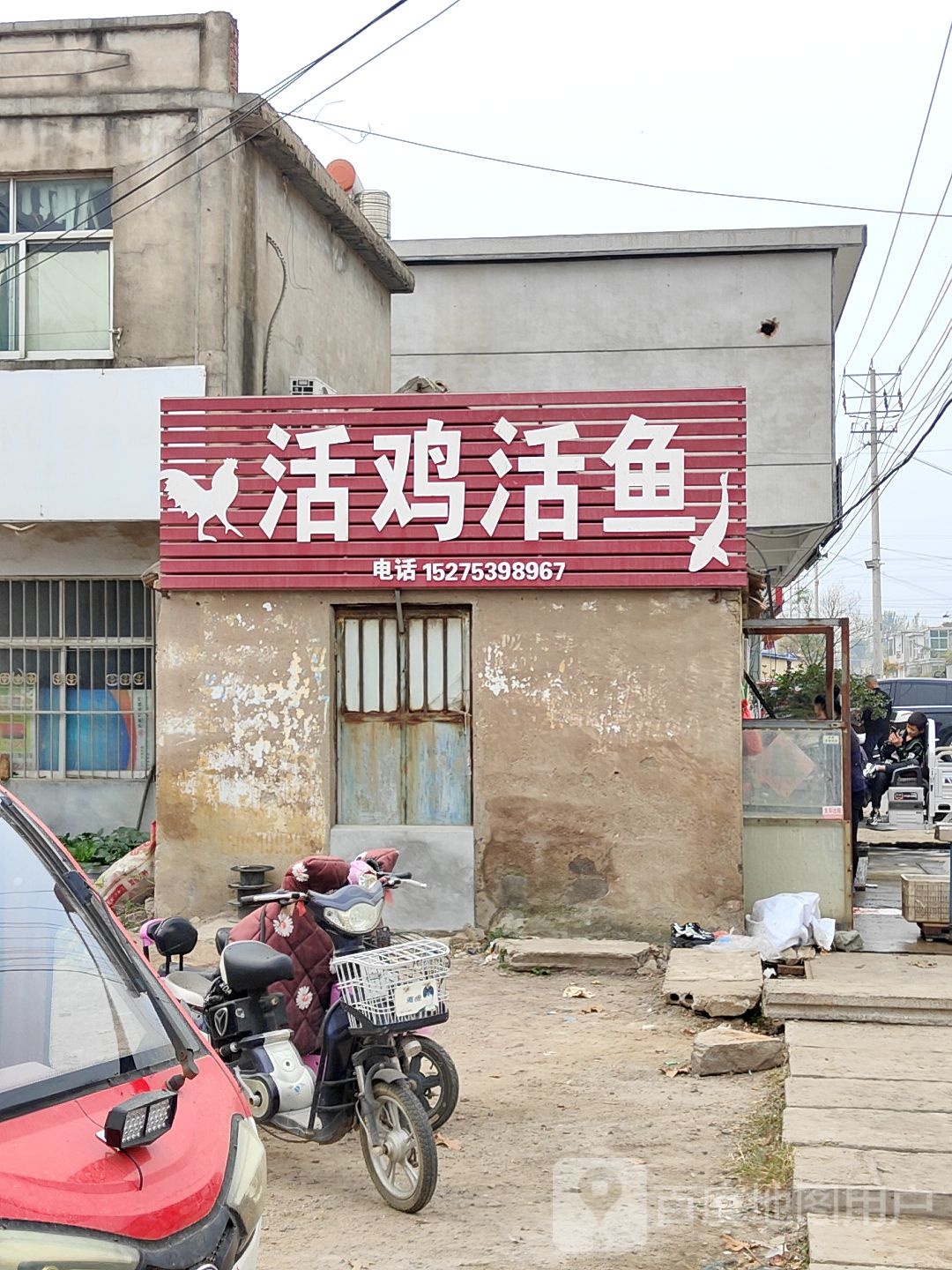 活鸡活鱼(孝河五路店)