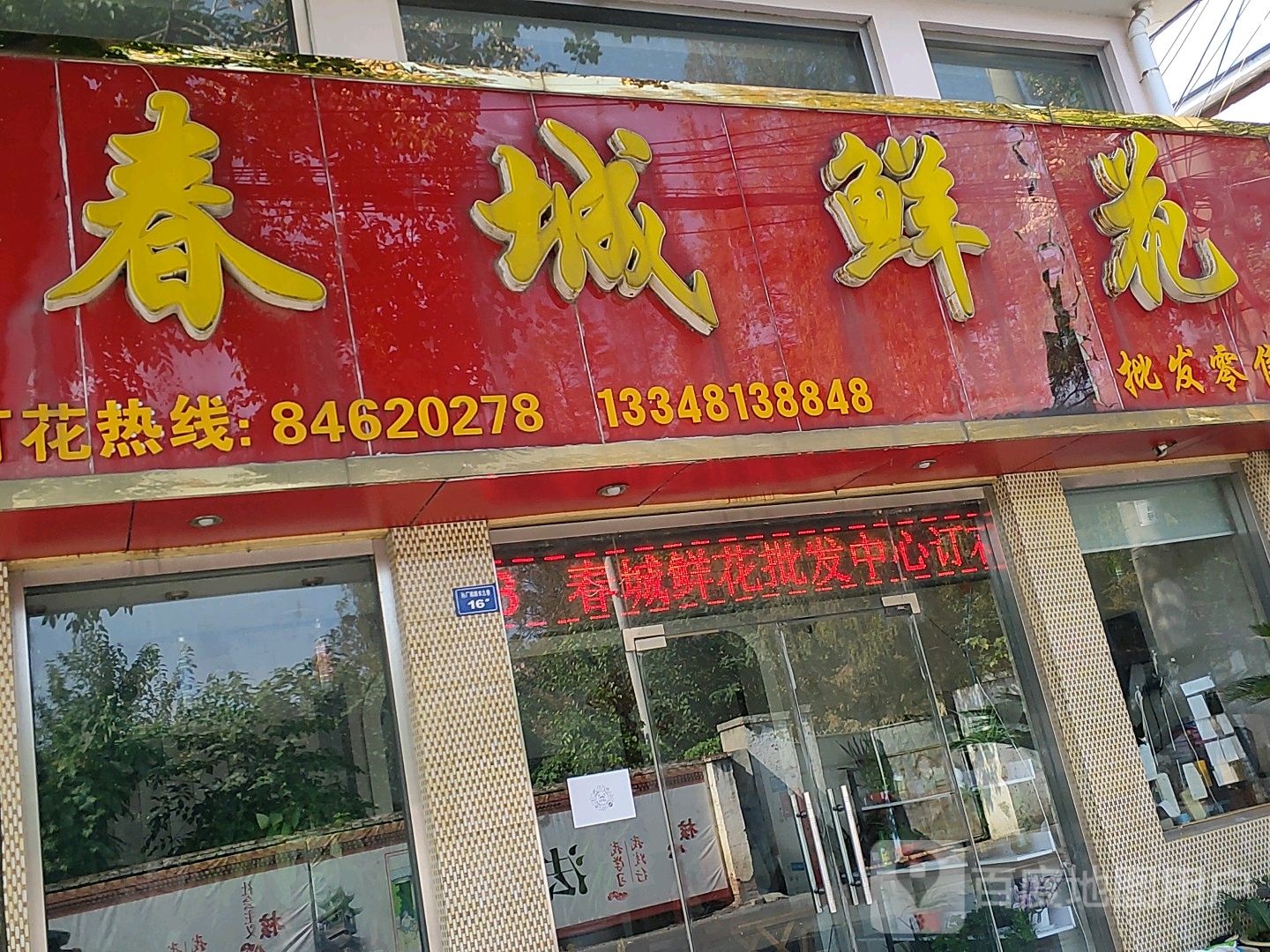 春城鲜花(叶绿红店)