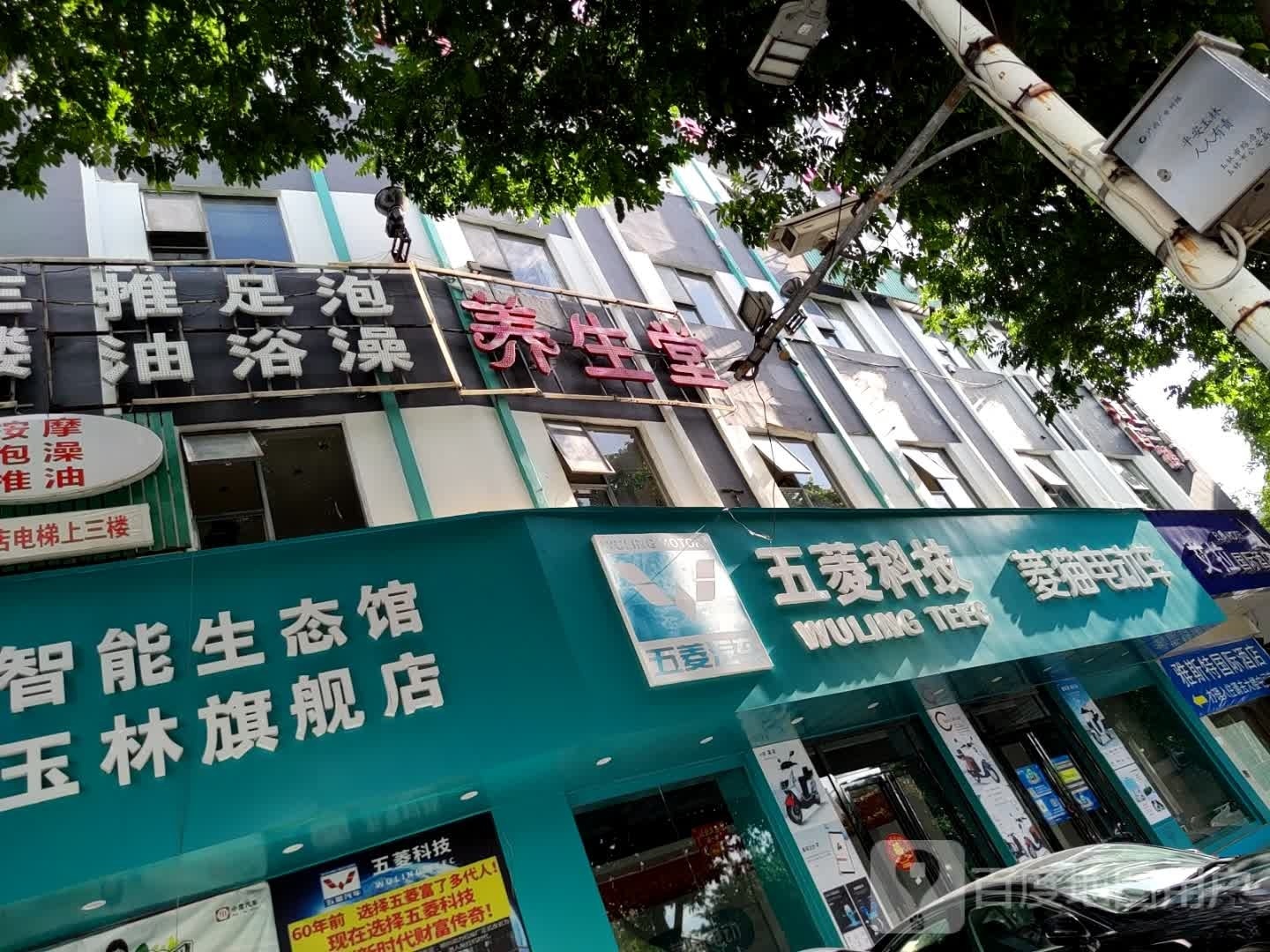 金鼎丰养生
