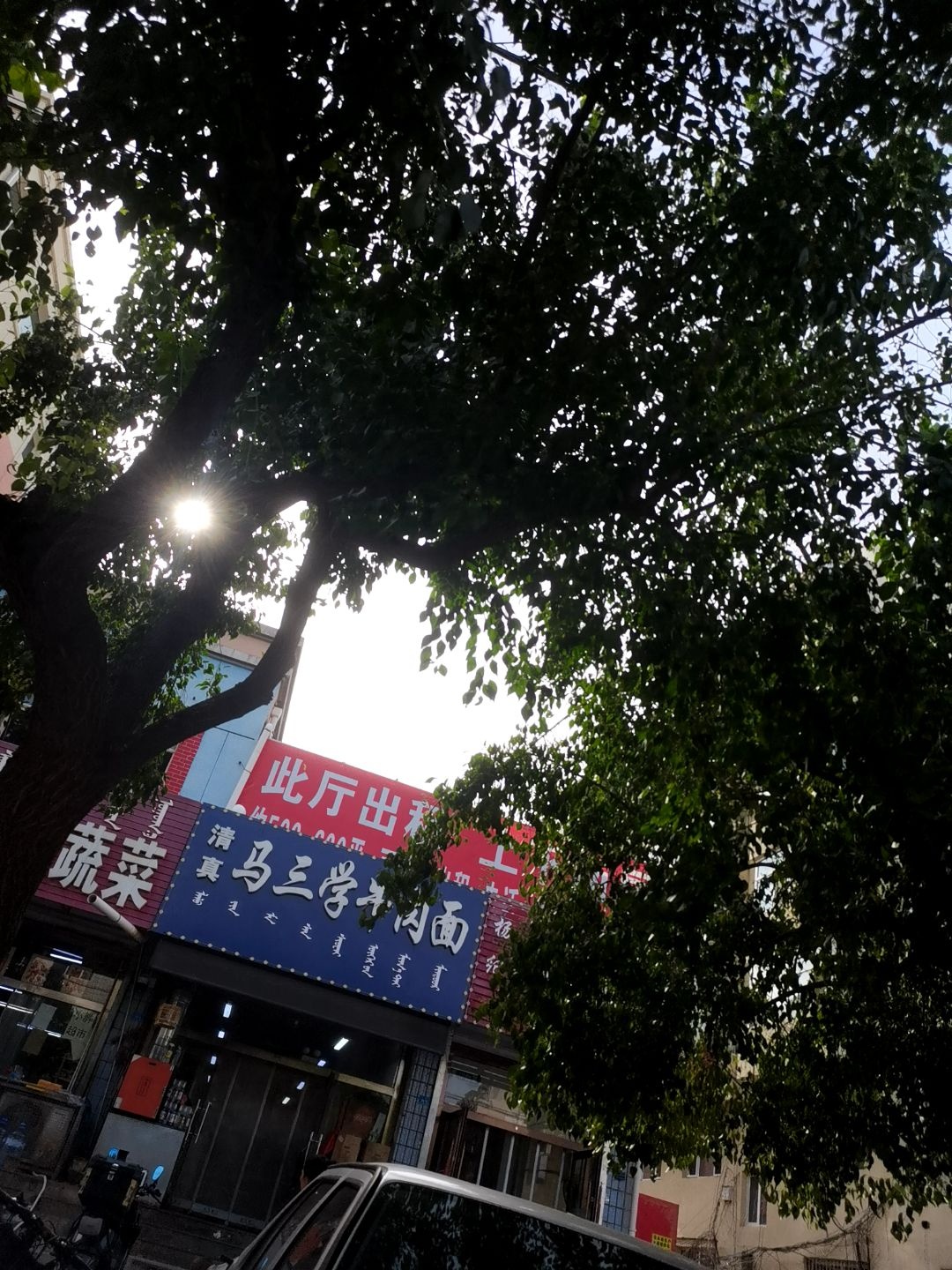 清真马三学牛肉面(红星路地毯小区店)