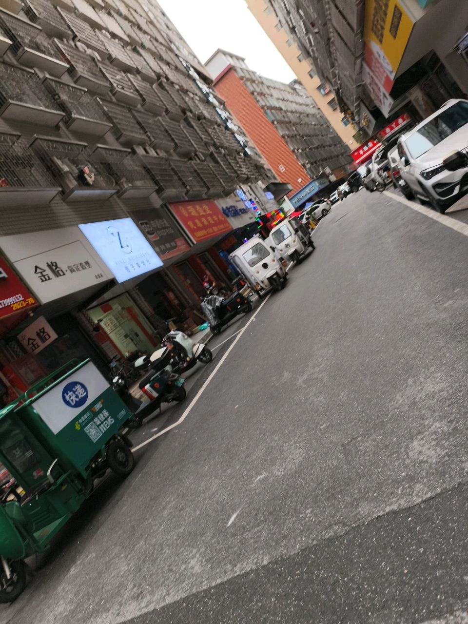 信子美学社
