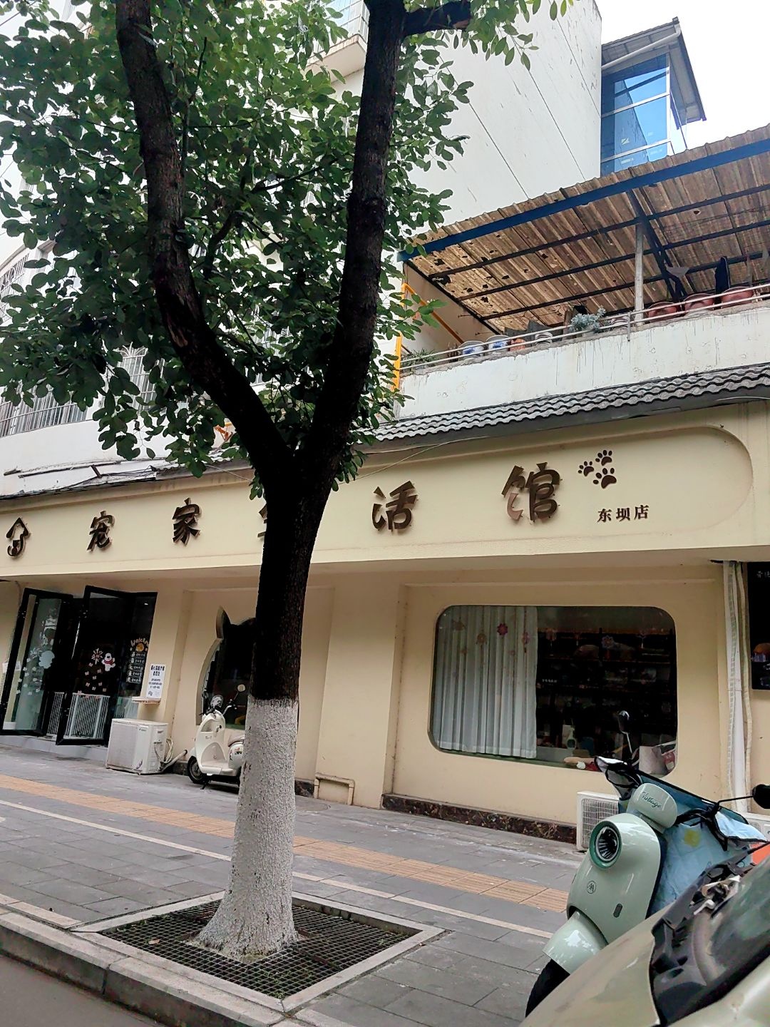 宠家生活馆(东坝店)