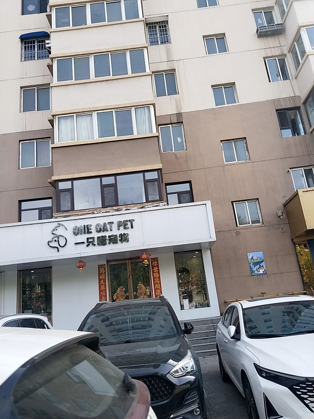 一只喵宠物