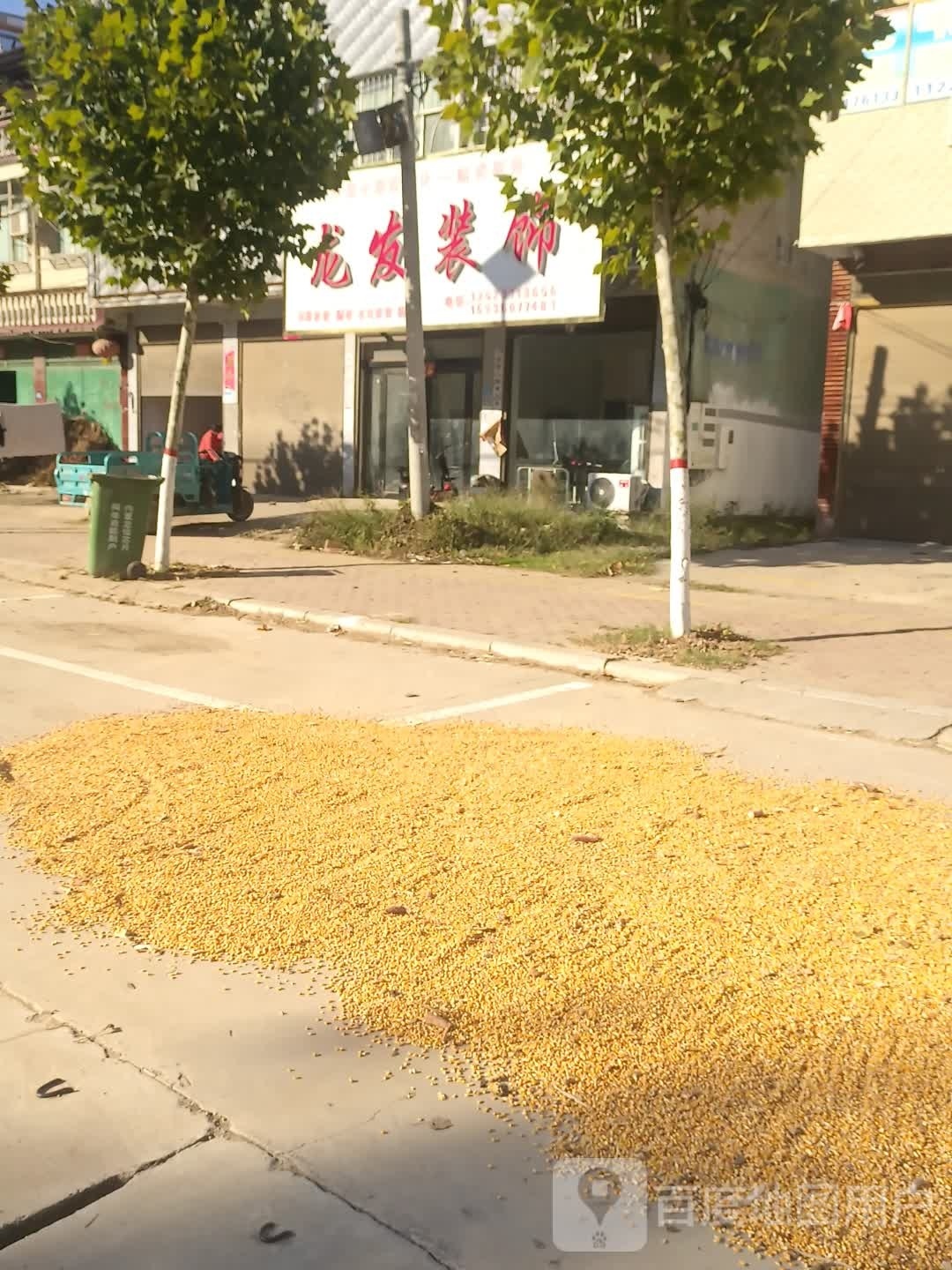 太康县芝麻洼乡龙发装饰(平安大道店)