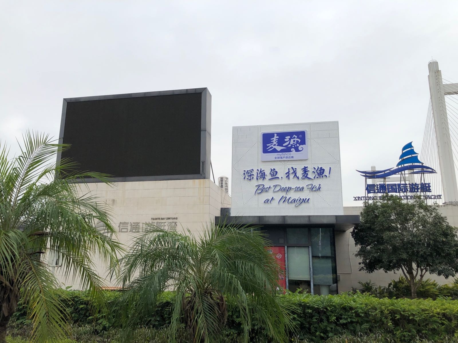 信通亭江国际游艇会