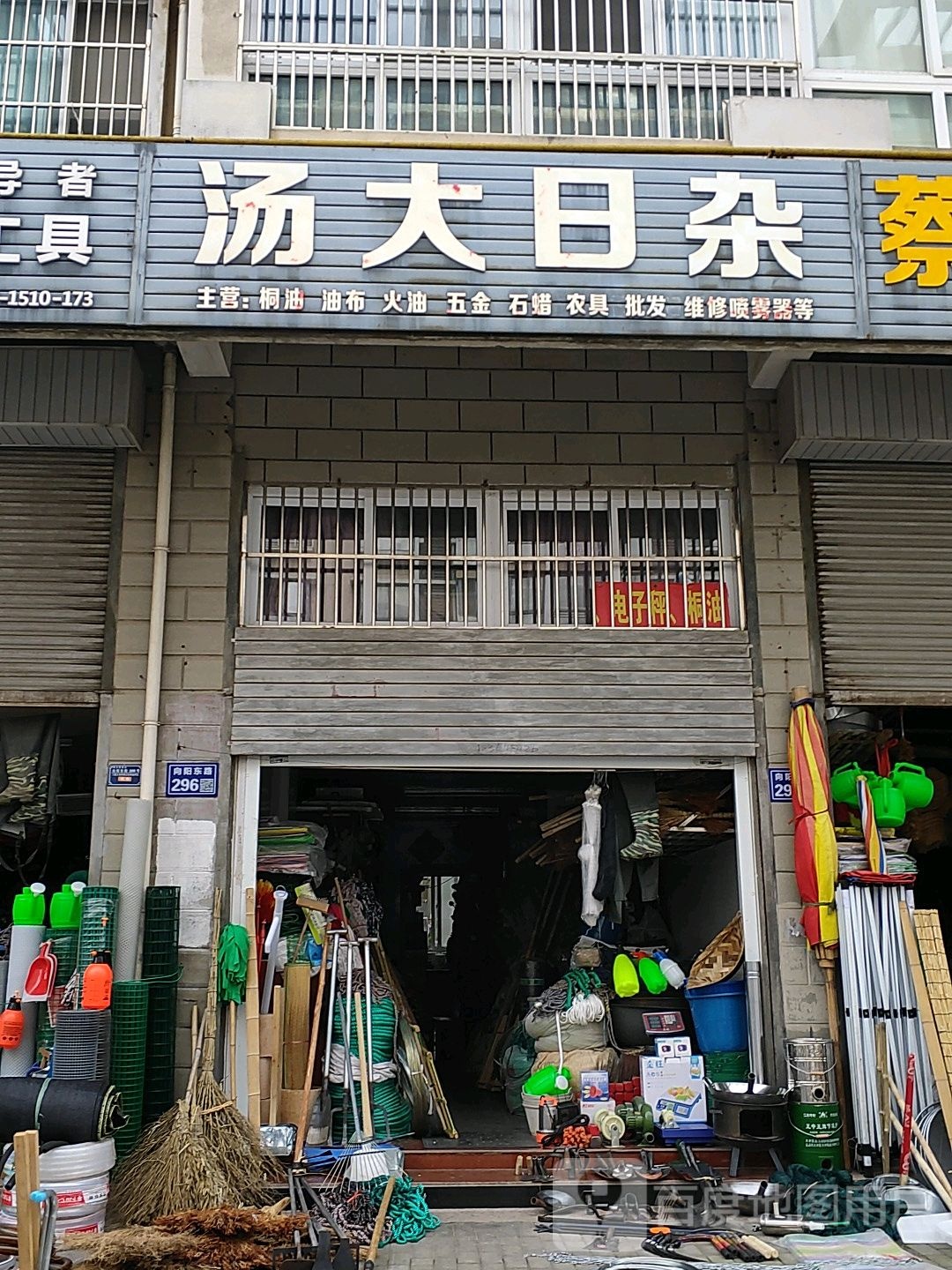 汤大日杂