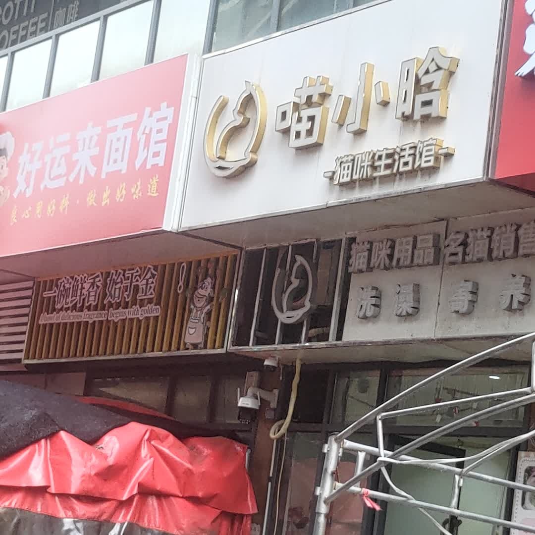 喵小晗猫咪生活馆(白水塘路店)