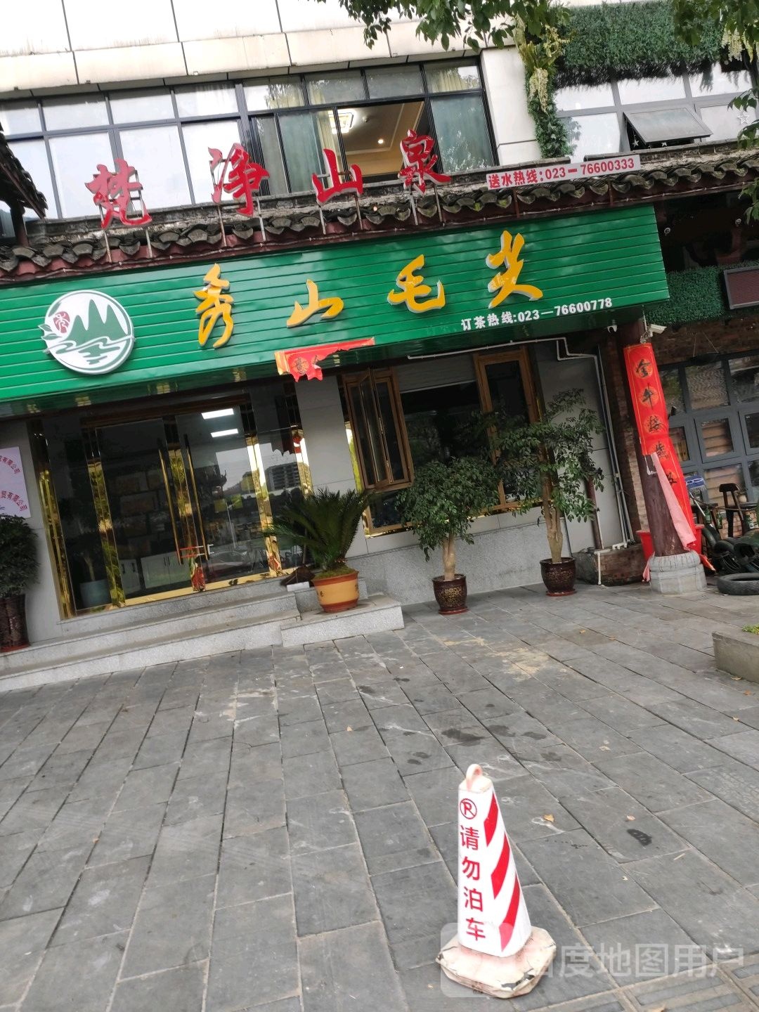 秀山毛尖