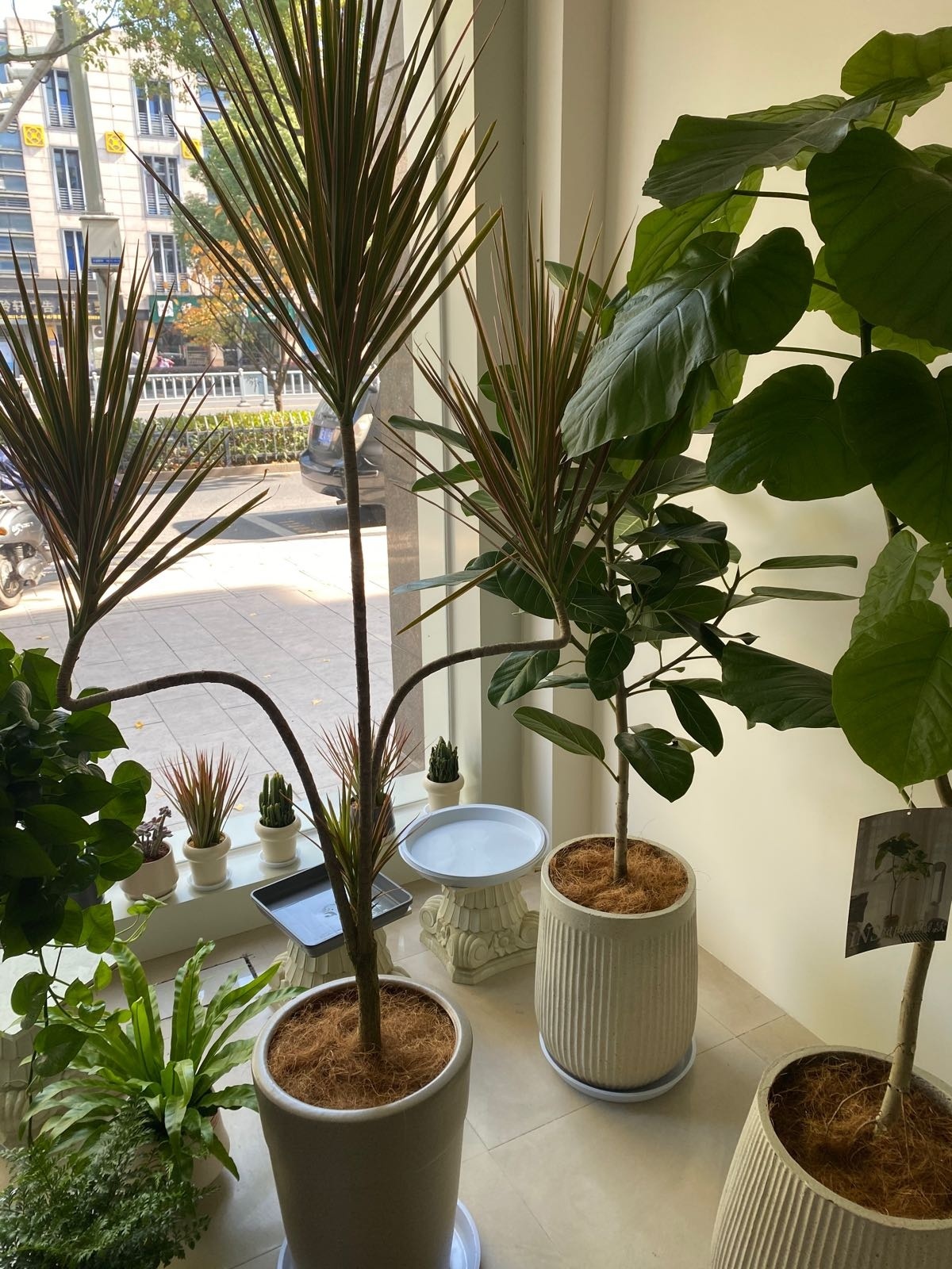 茉李花艺