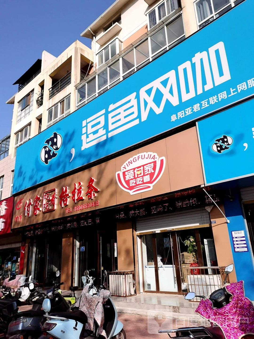 逗鱼网卡(七彩店)