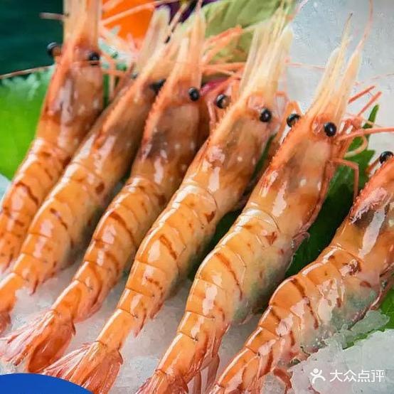 蓝塞夫三文鱼资博万象汇店