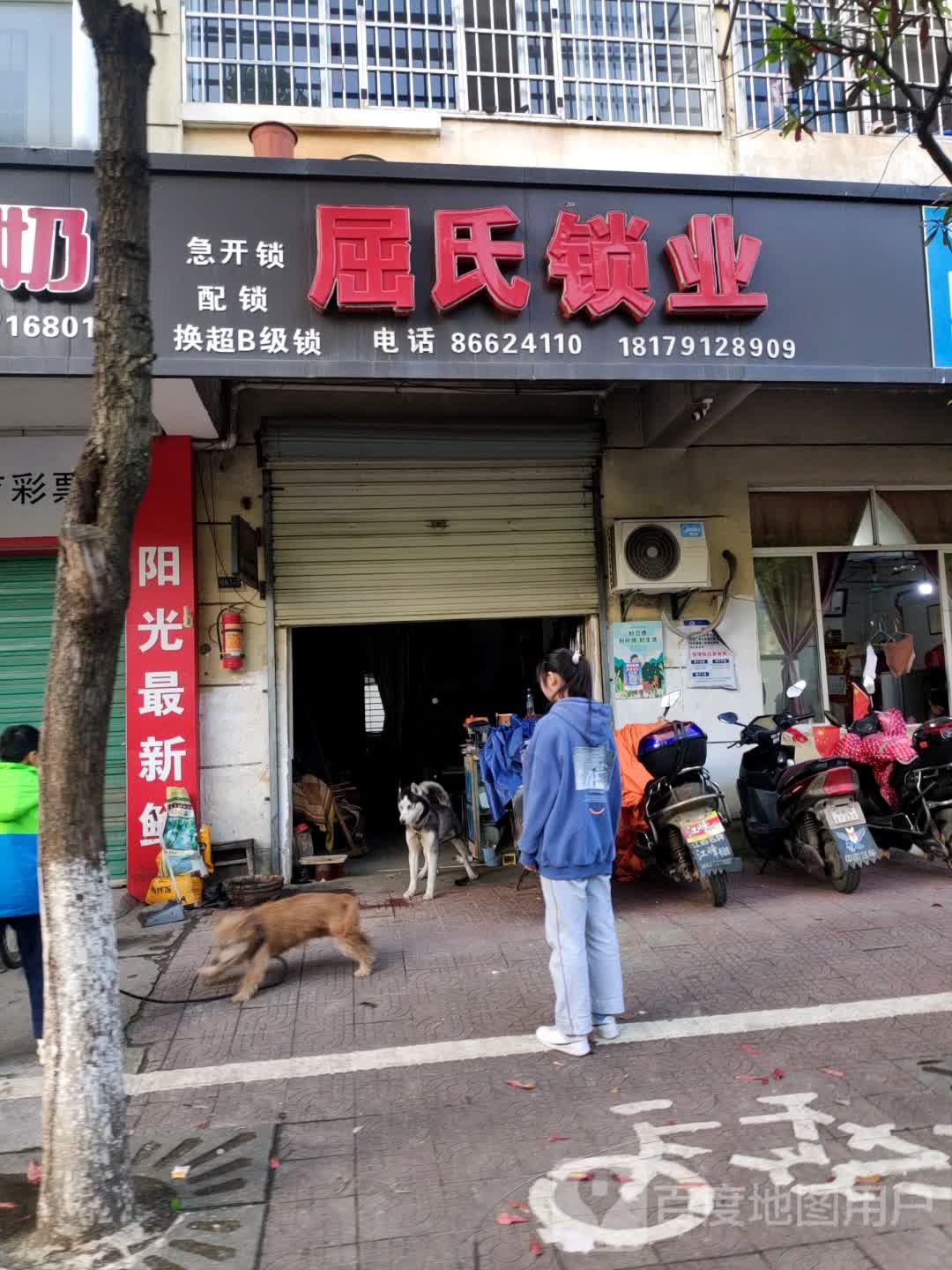 屈氏锁业(凤凰花园店)