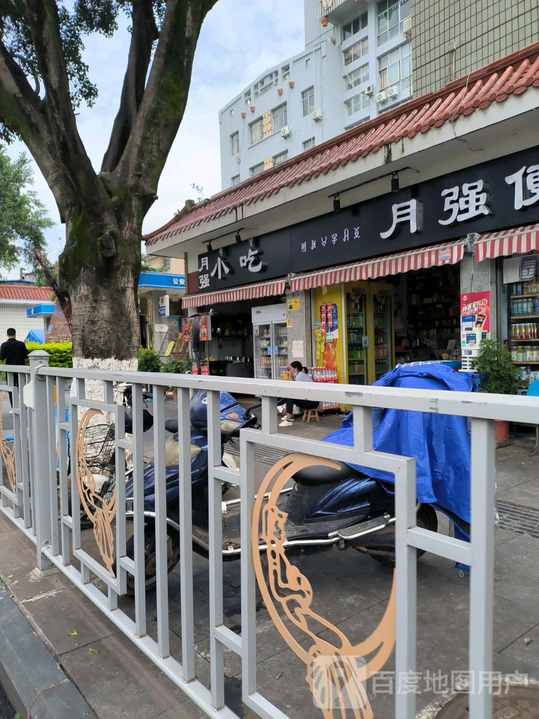 月强小
