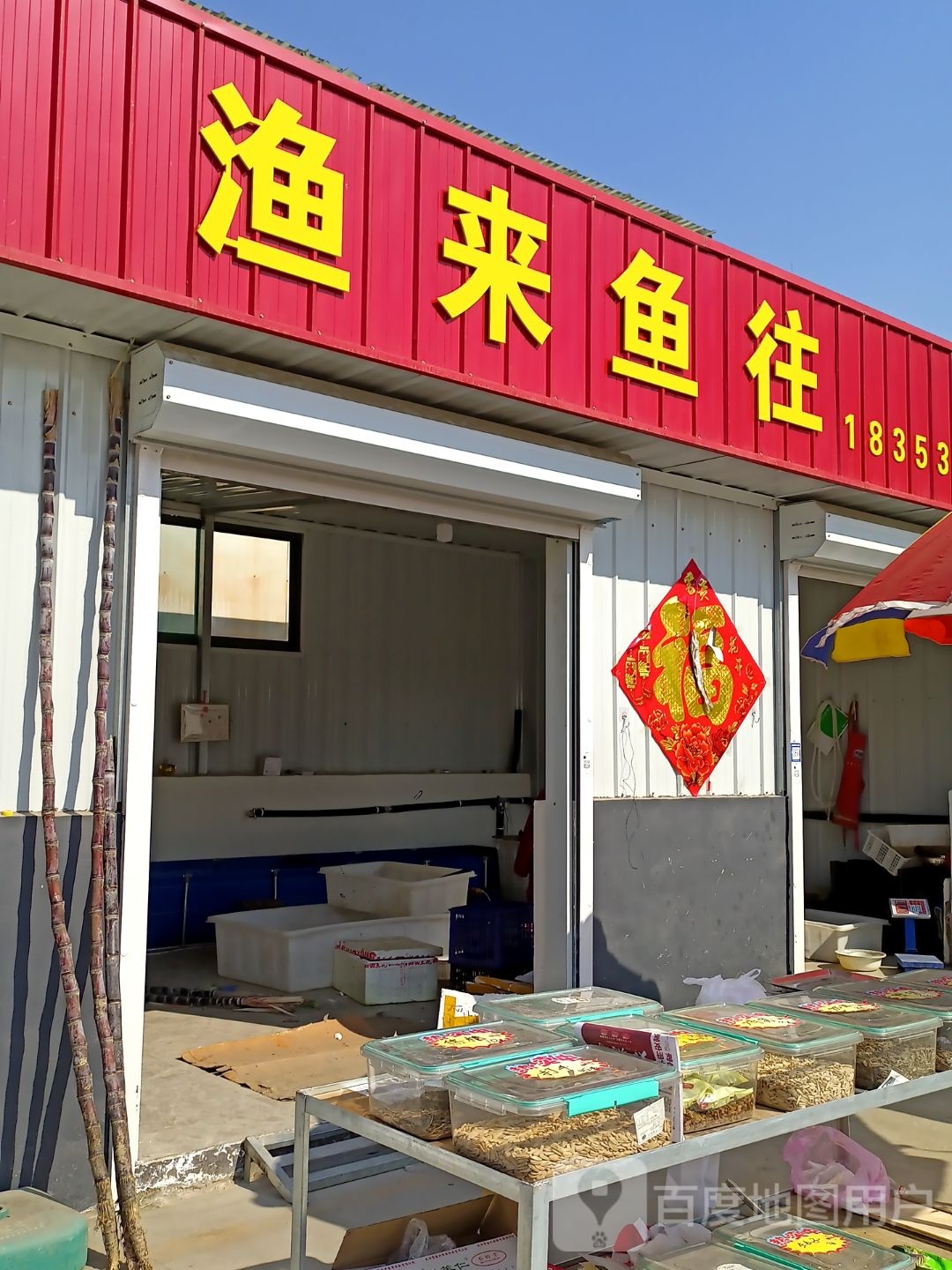 渔来鱼往