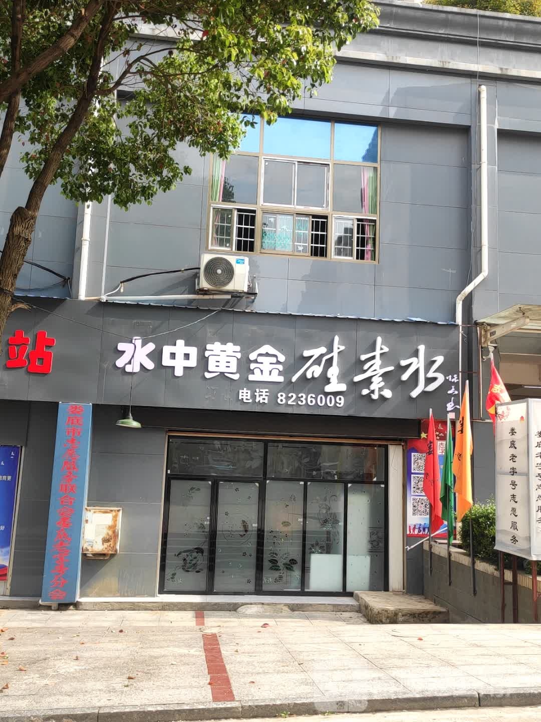 水中黄进(城南壹号店)