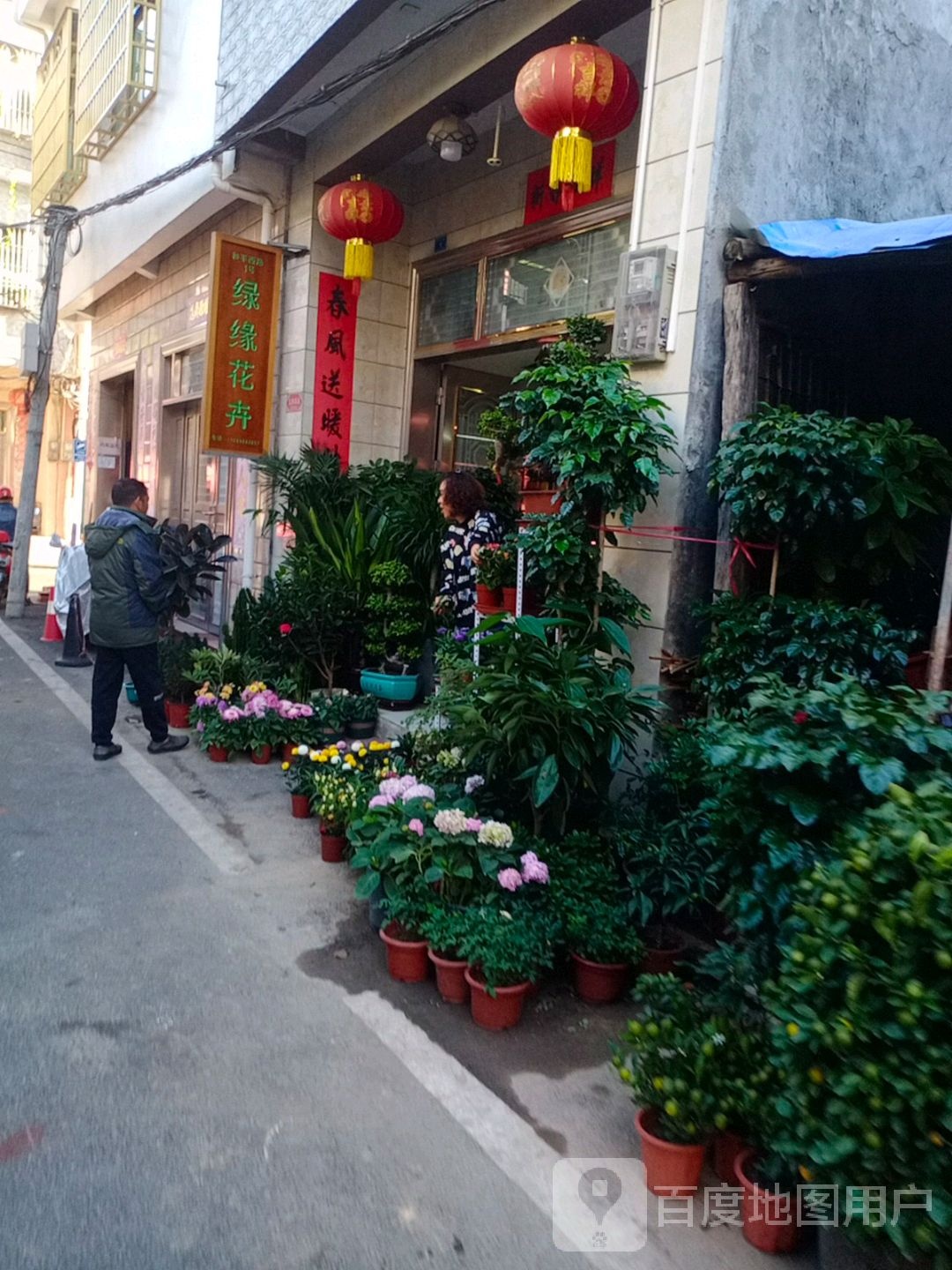 绿缘花卉(和平西路店)