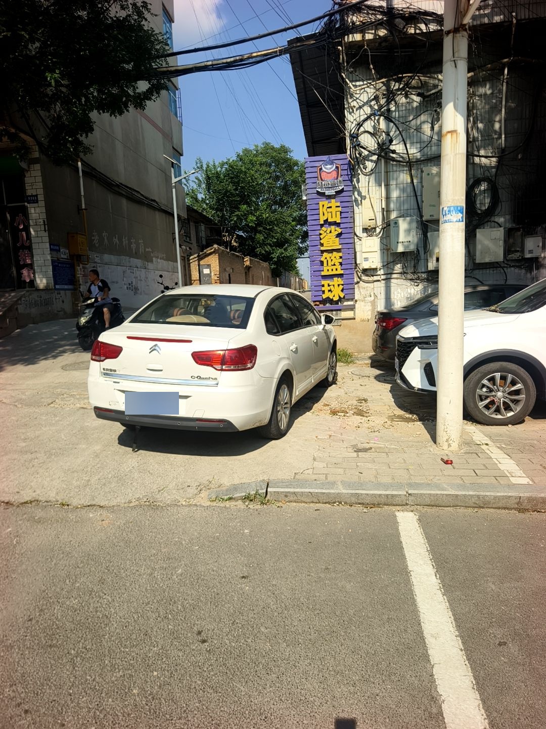 陆鲨篮球