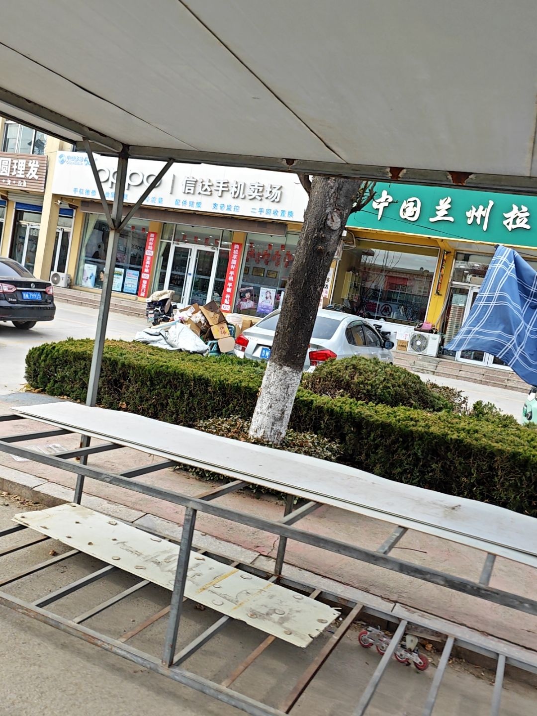 清真中国兰州拉面