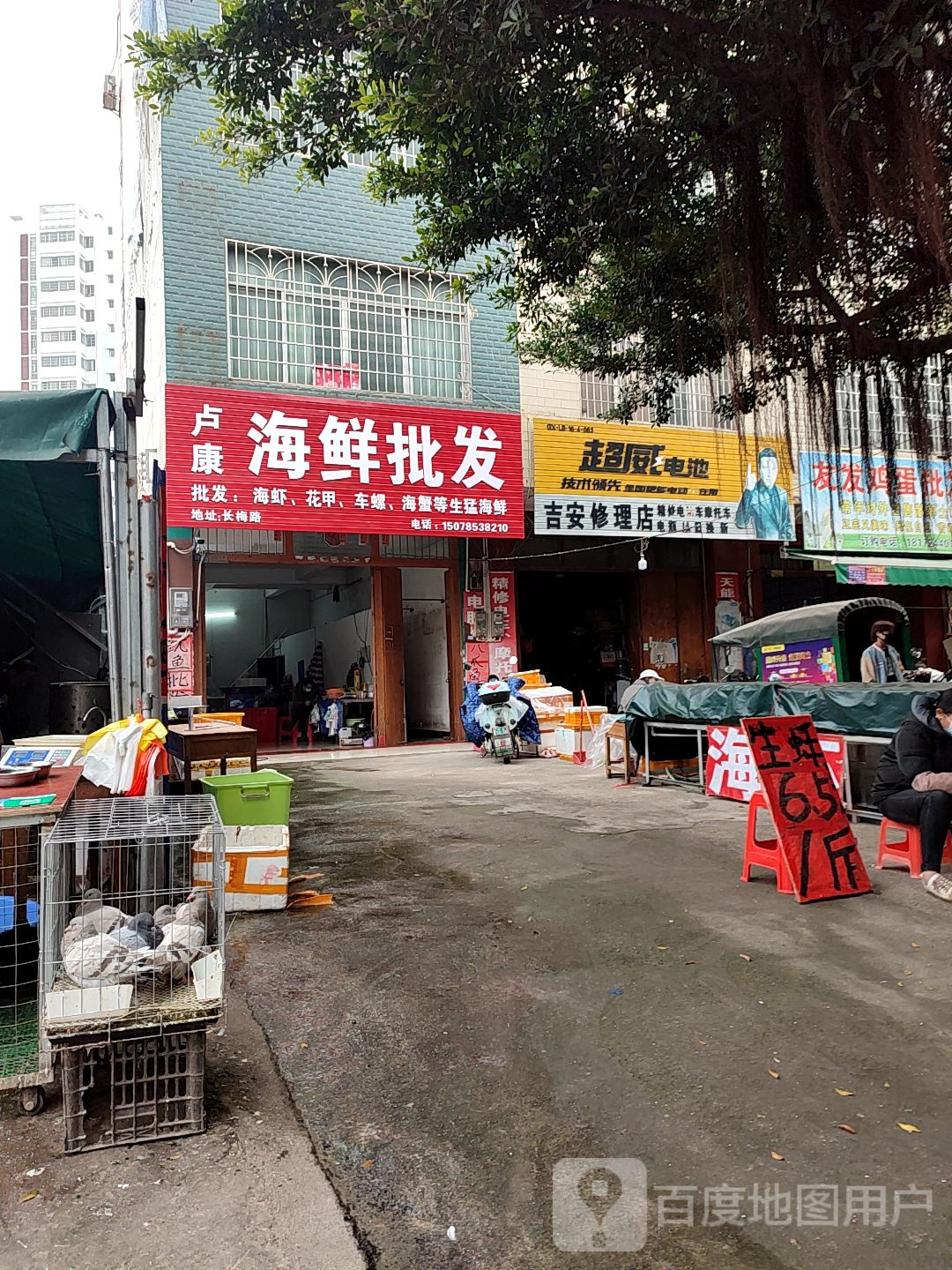 卢康海鲜冻品批发部