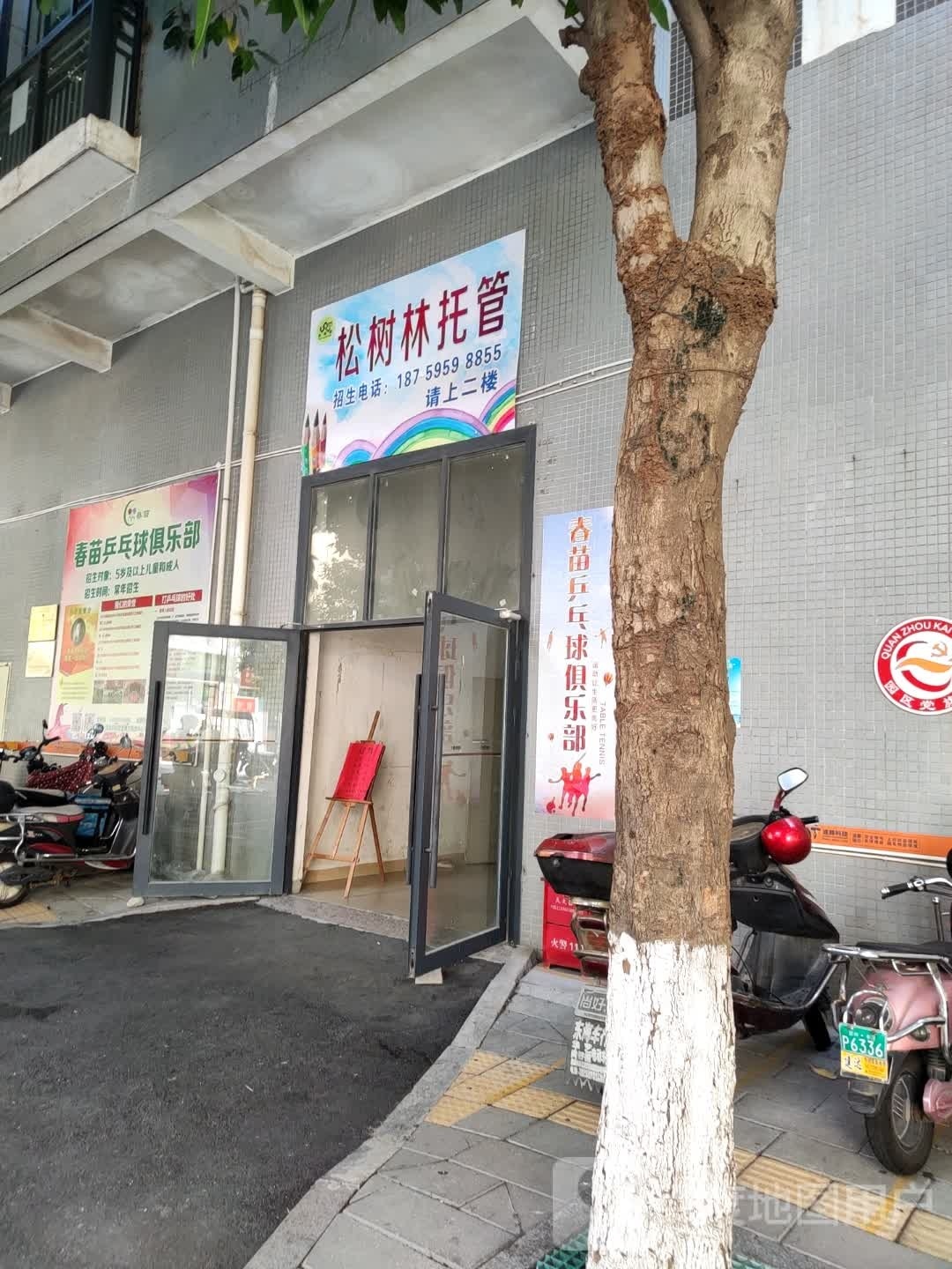春苗乒乓球俱乐部
