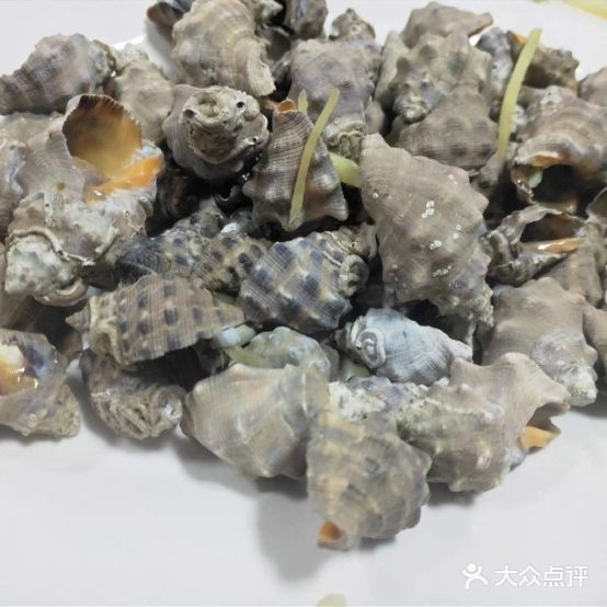 小强海鲜店店 (美食地标店)