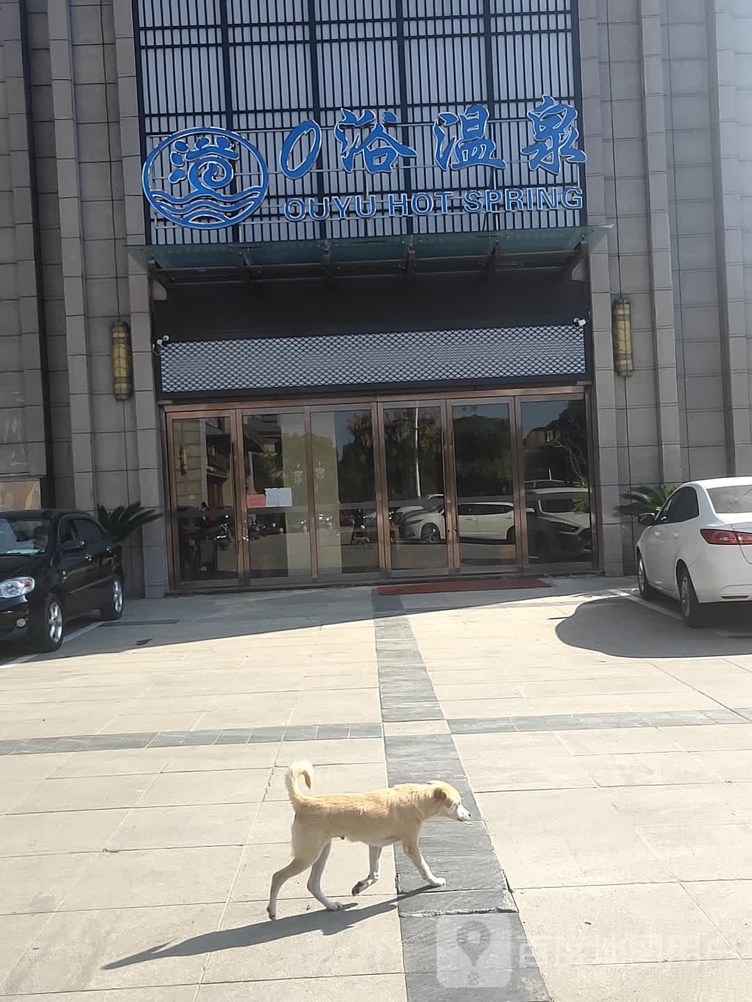 偶愉温泉
