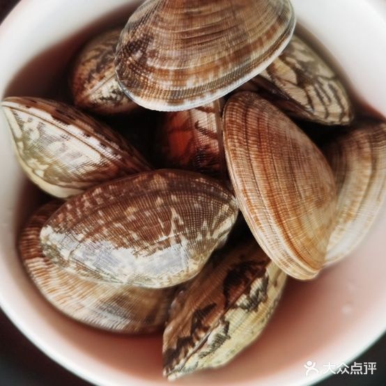 沙窝粉