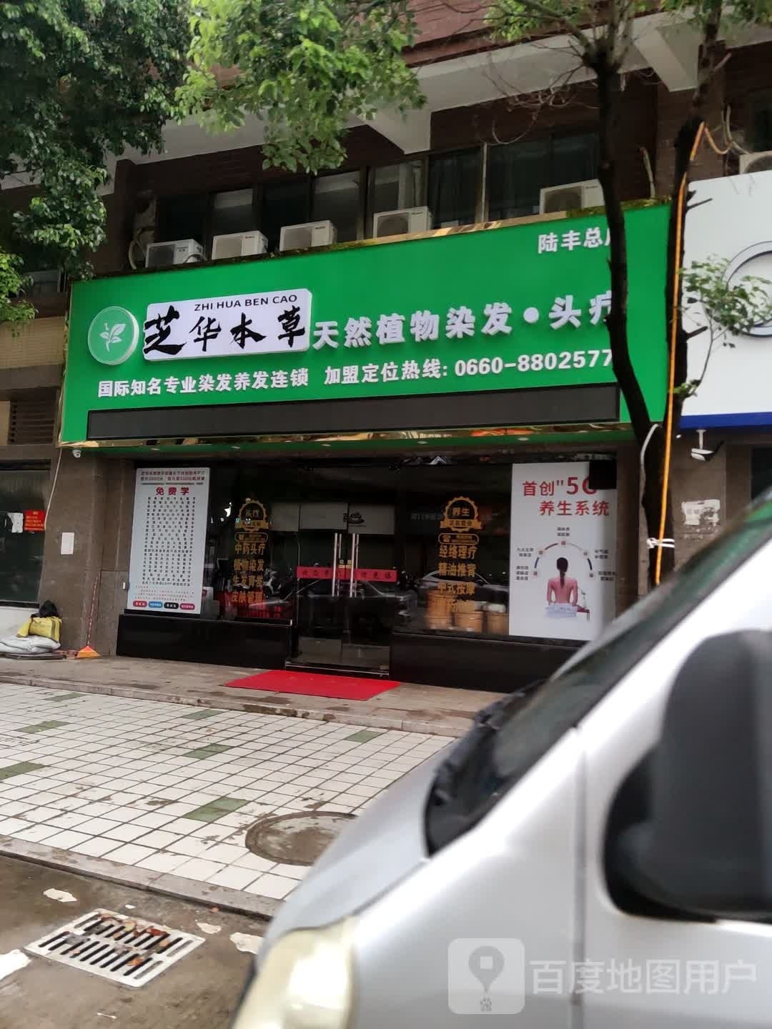 芝华本草天然植物染发·头疗(陆丰总店)