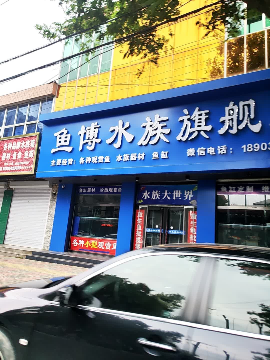 鱼博水族旗舰店