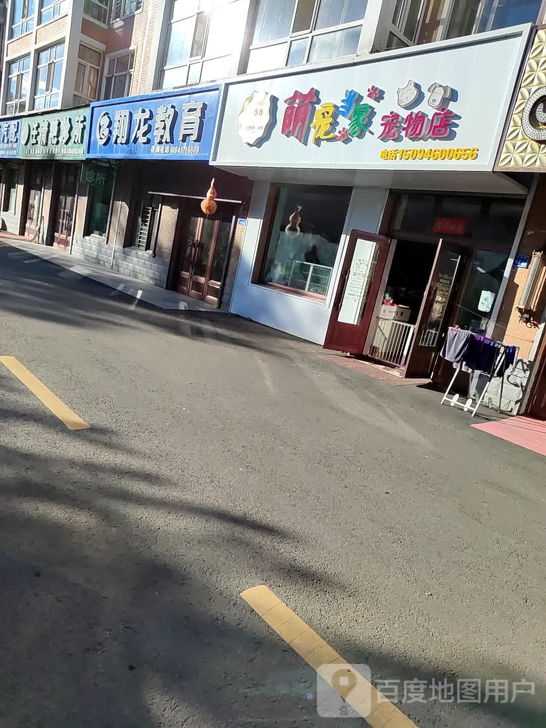 萌宠当家宠物店