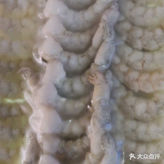 宝珍海先