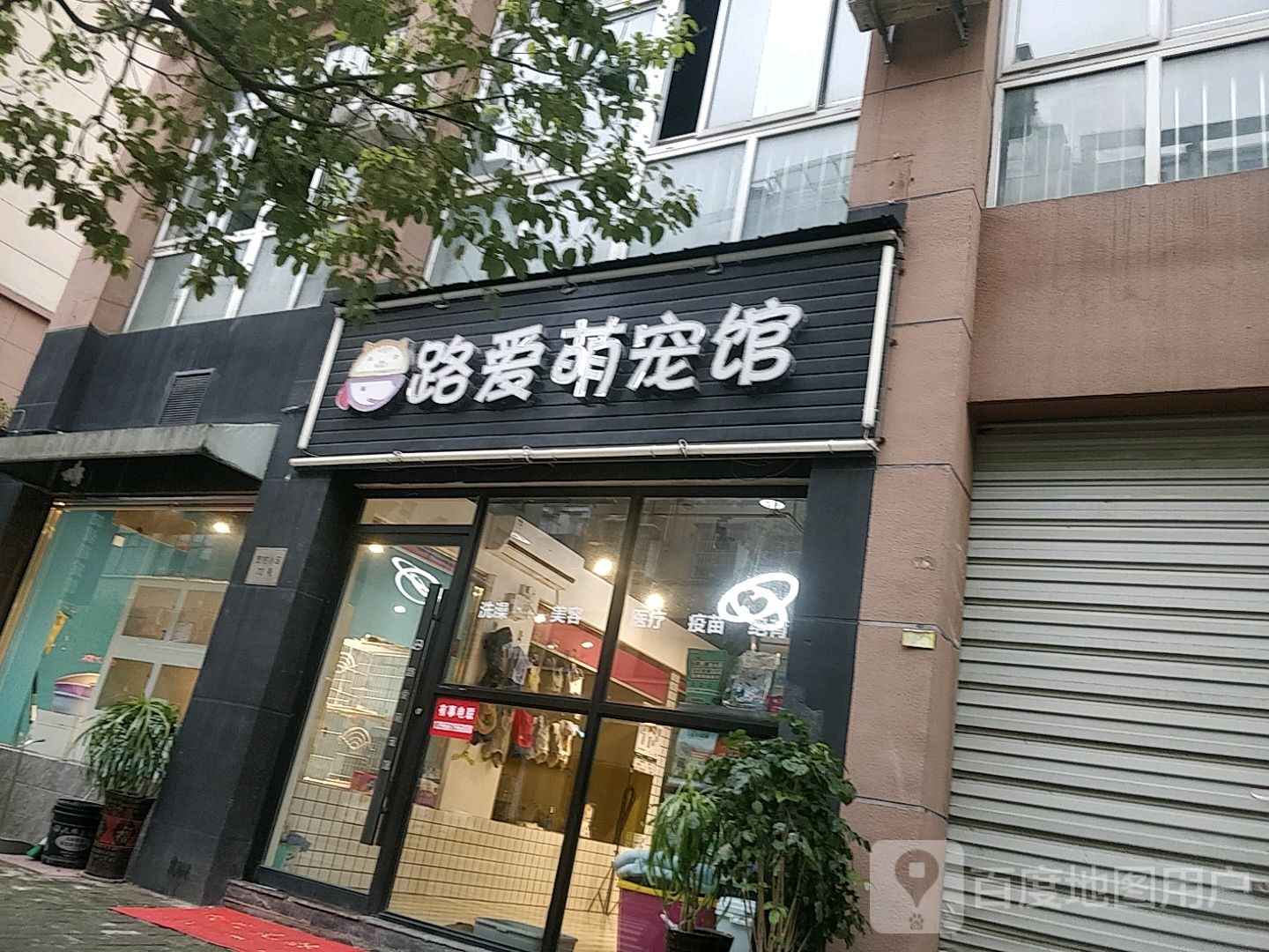 路爱萌宠馆