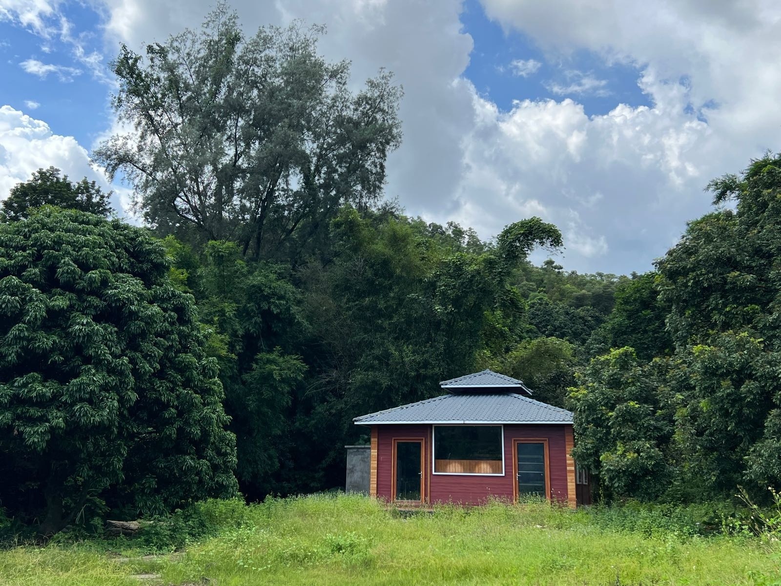 中山市板芙枫叶生态园