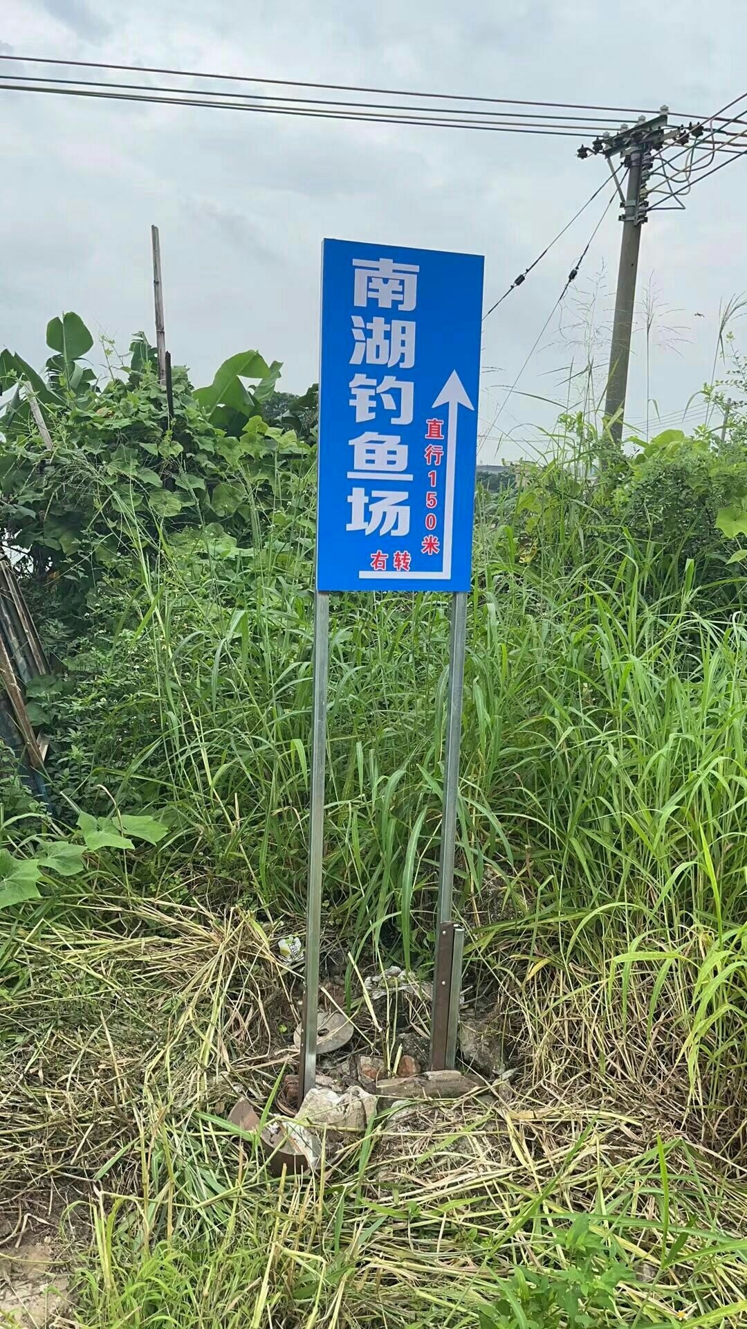 南湖钓鱼场