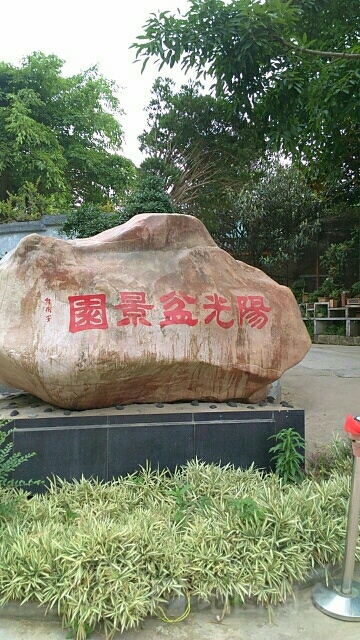 阳光盆景园